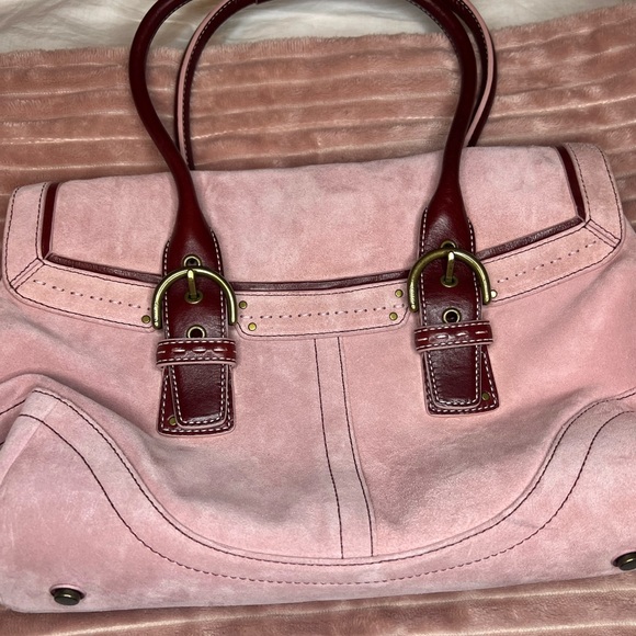 GORGEOUS LIMITED EDITION bag! Great condition - Picture 9 of 11